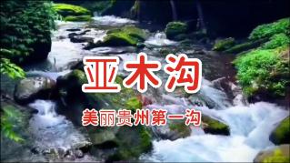 植物大战僵尸1