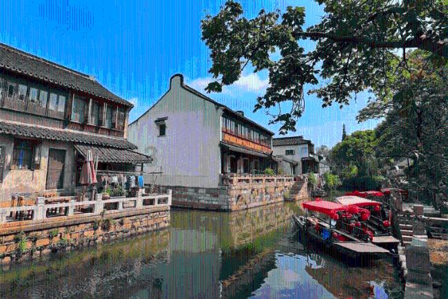 救援卷耳兔
